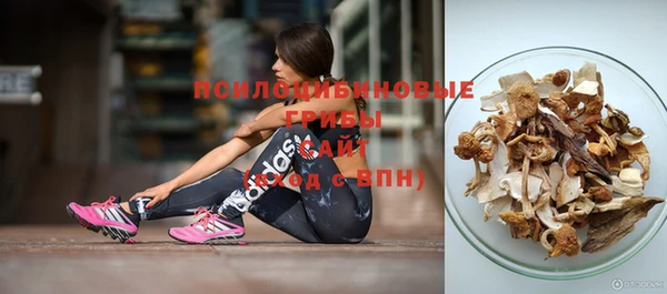 хмурый Струнино