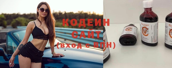 хмурый Струнино