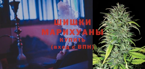 хмурый Струнино