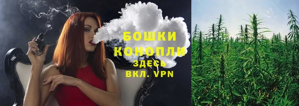 хмурый Струнино