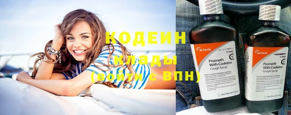 хмурый Струнино
