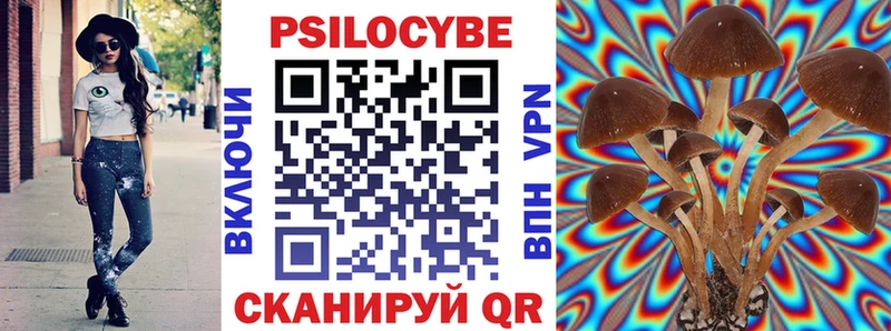 дарнет шоп  кракен сайт  Галлюциногенные грибы GOLDEN TEACHER  Чёрмоз 